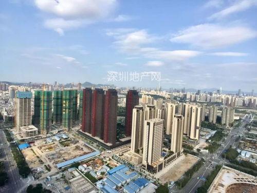 深圳最新房价爆料,揭秘热点区域涨幅与趋势 第1张 深圳最新房价爆料,揭秘热点区域涨幅与趋势 第1张